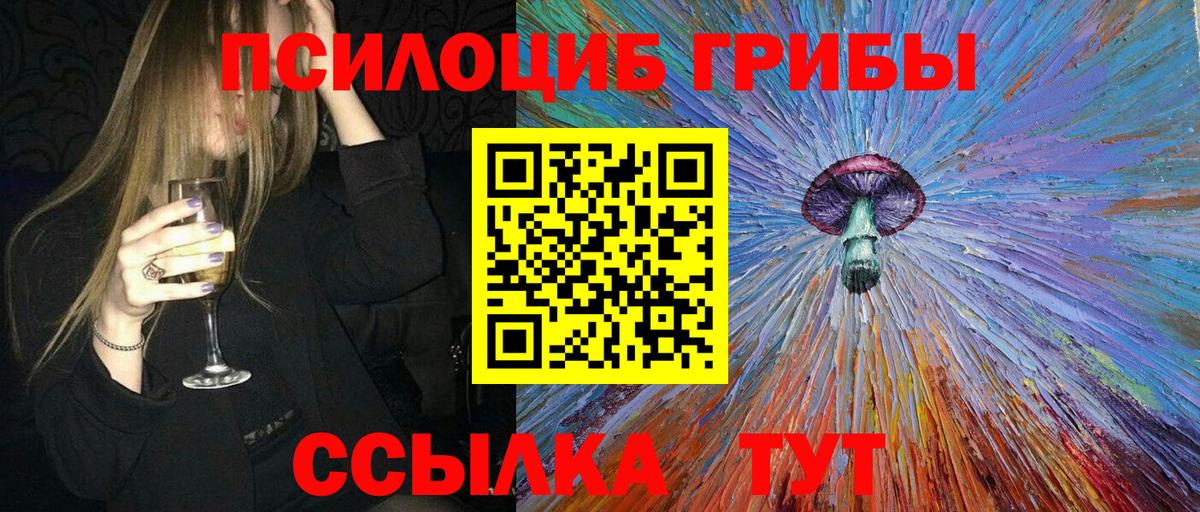 Новодвинск  Галлюциногенные грибы Psilocybe  Вход с VPN 