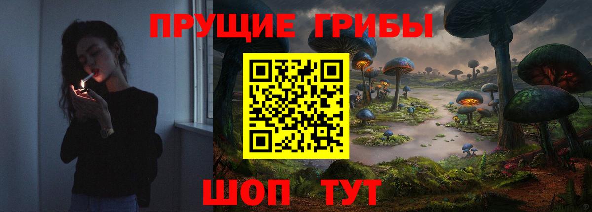 Галлюциногенные грибы Psilocybine cubensis Новодвинск