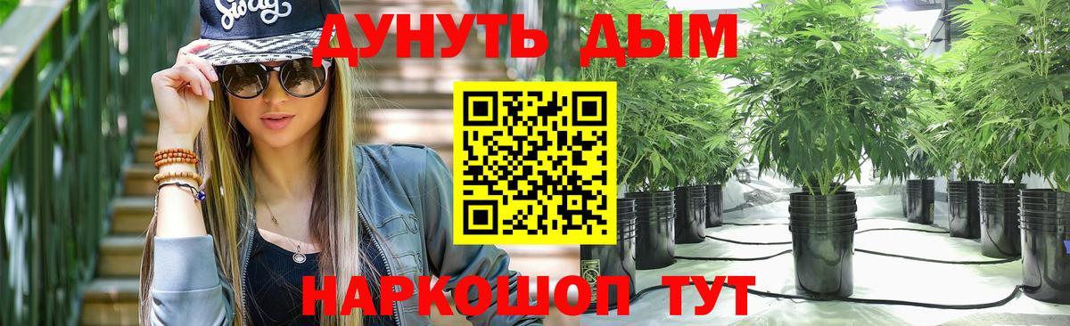 Канабис Bruce Banner  Бошки Шишки MAZAR  Вход с VPN  Новодвинск  Канабис планчик 
